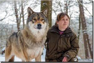 Führungen - Foto Wolfspark Werner Freund by Michael Schönberger